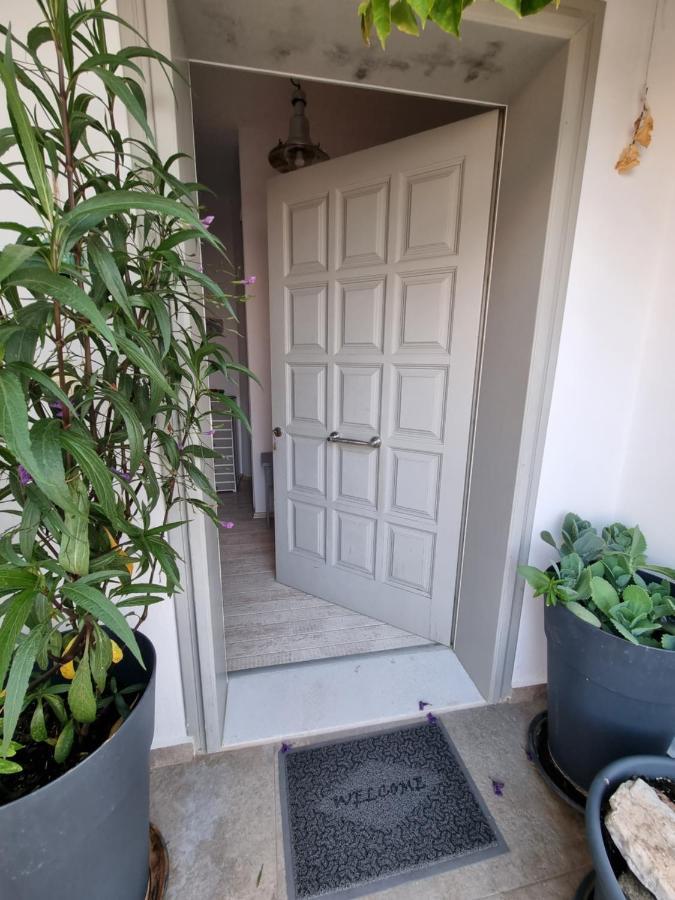 Hara'S Villa In Naousa , Paros Exteriör bild