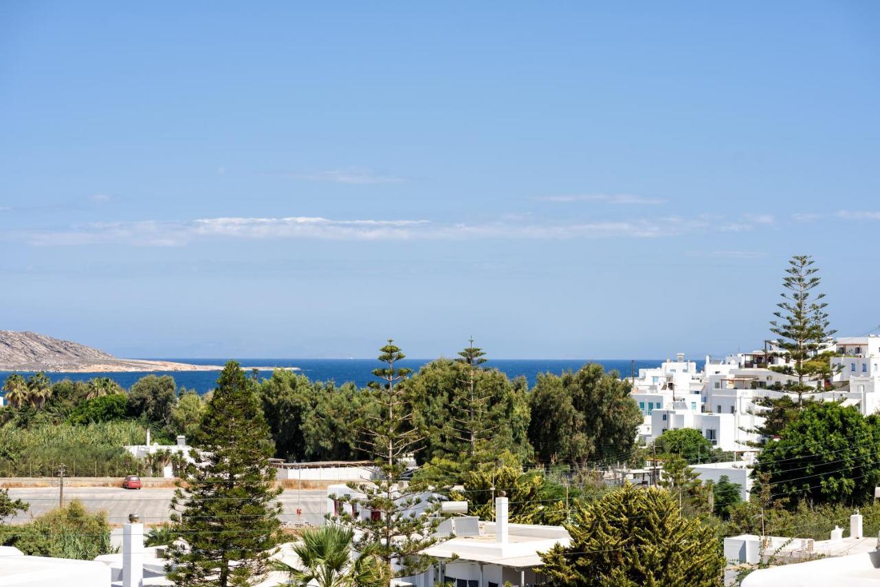 Hara'S Villa In Naousa , Paros Exteriör bild